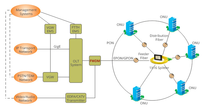 Fs FTTH 네트워크 access.jpg